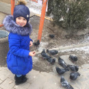 Неделя доброты